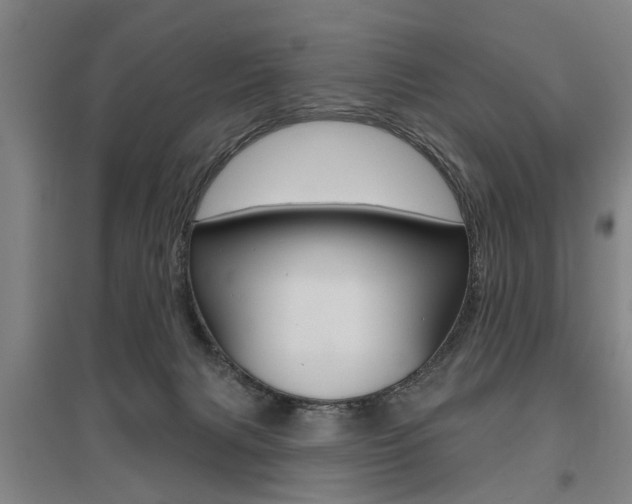 X0000095920079200801110904