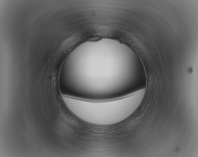 X0000095920080200801110904