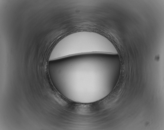 X0000095920081200801110904