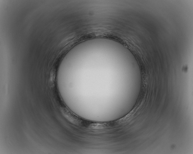 X0000095920082200801110904