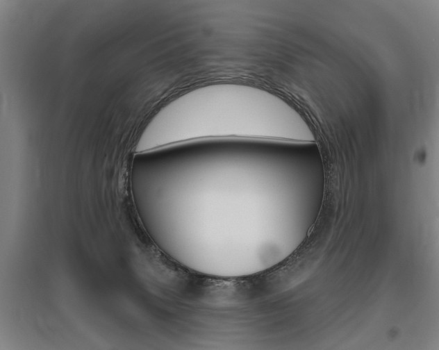 X0000095920083200801110904