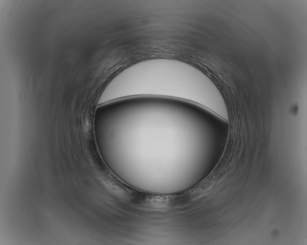 X0000095920084200801110904