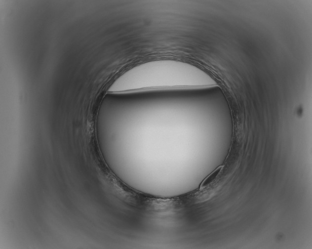 X0000095920085200801110904