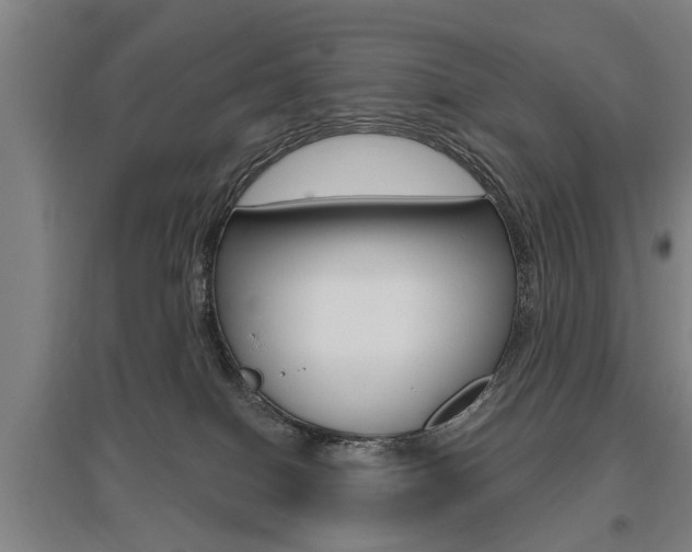 X0000095920086200801110904