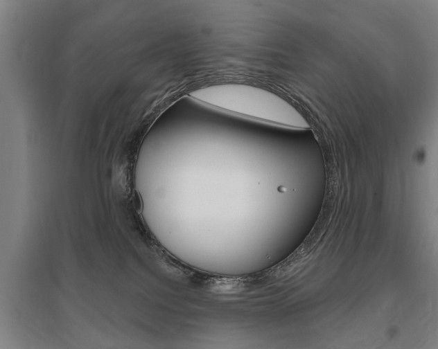 X0000095920088200801110904