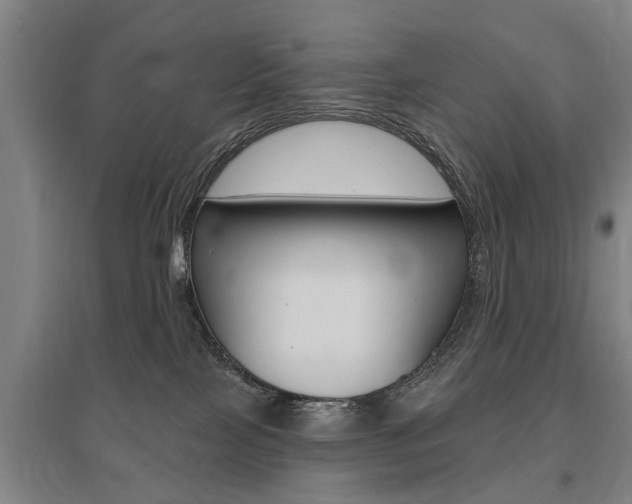 X0000095920089200801110904