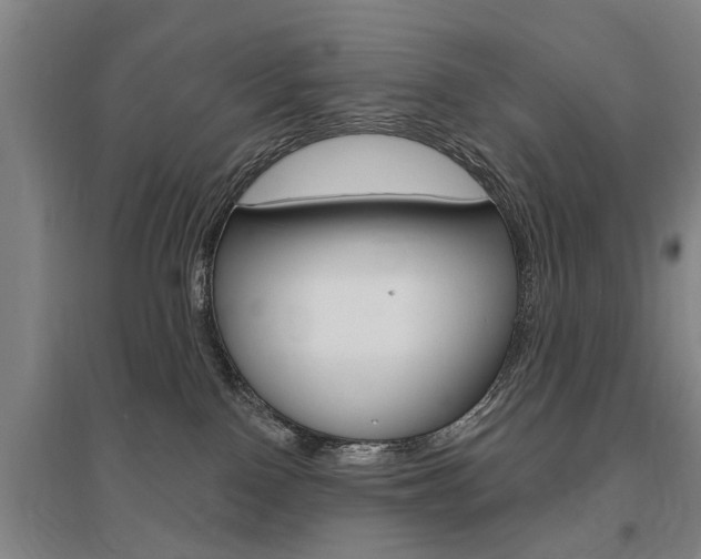 X0000095920090200801110904