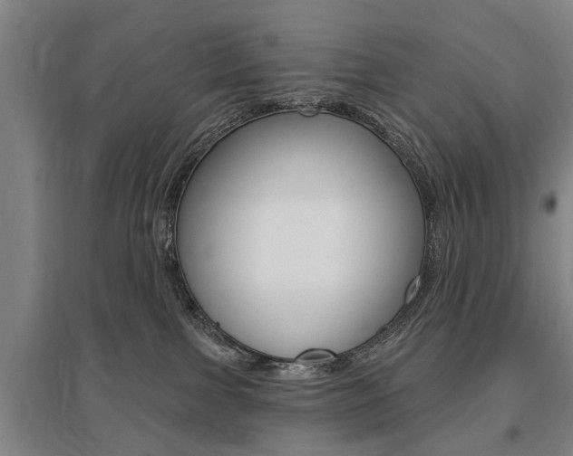 X0000095920091200801110904