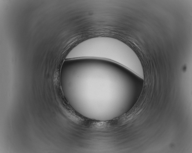 X0000095920092200801110904