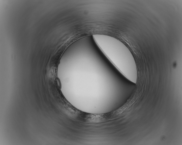 X0000095920093200801110904