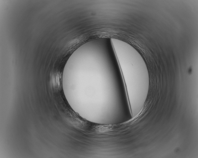 X0000095920094200801110905