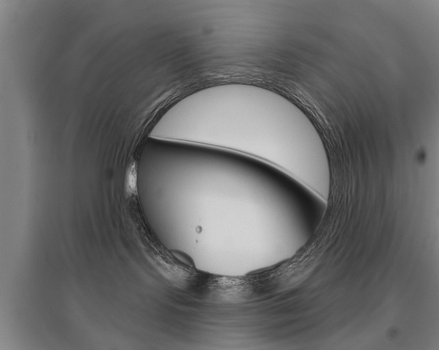 X0000095920095200801110905