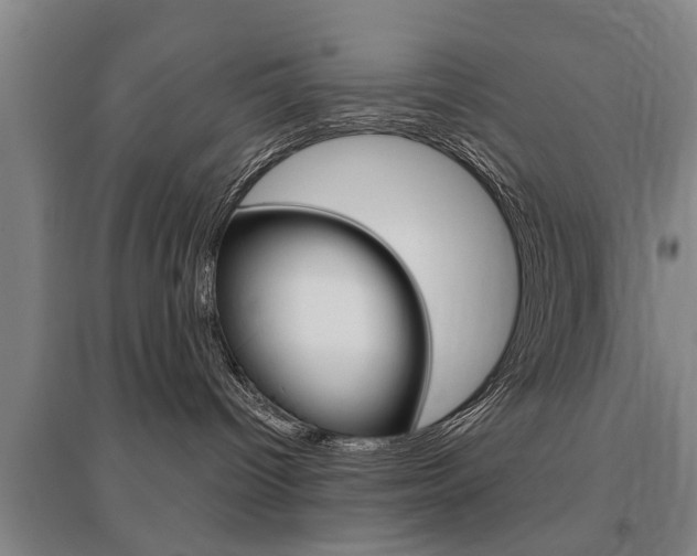 X0000095920096200801110905