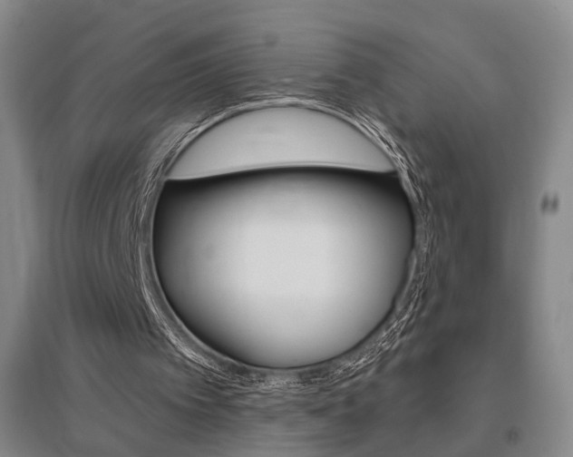 X0000095920097200801110904