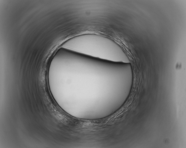 X0000095920098200801110904