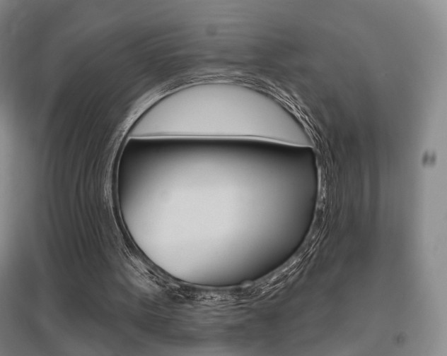 X0000095920099200801110904
