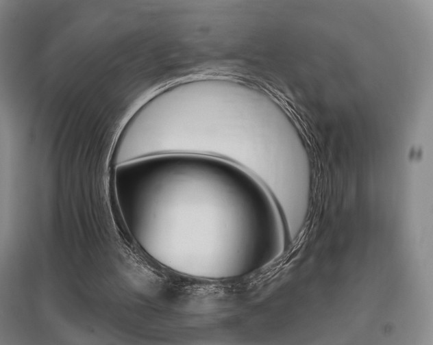 X0000095920100200801110904
