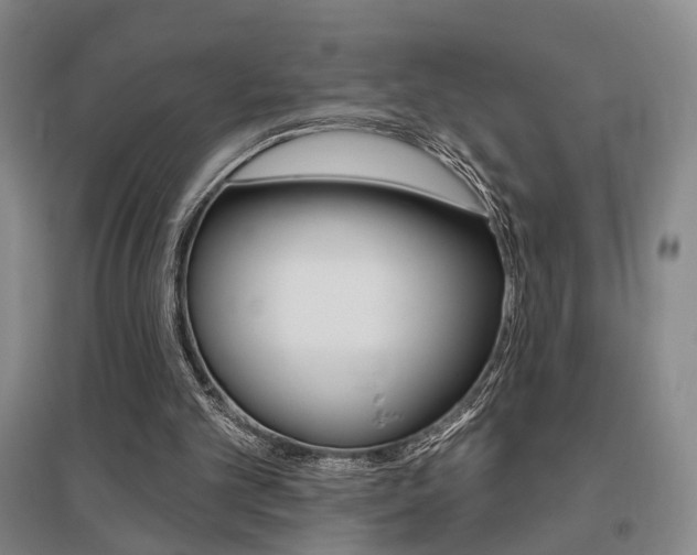 X0000095920101200801110904