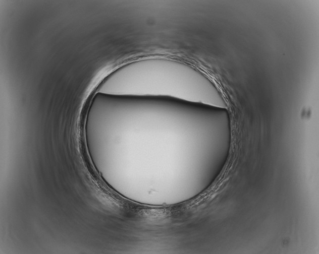 X0000095920102200801110904