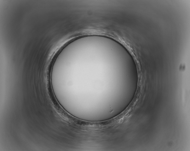 X0000095920103200801110904