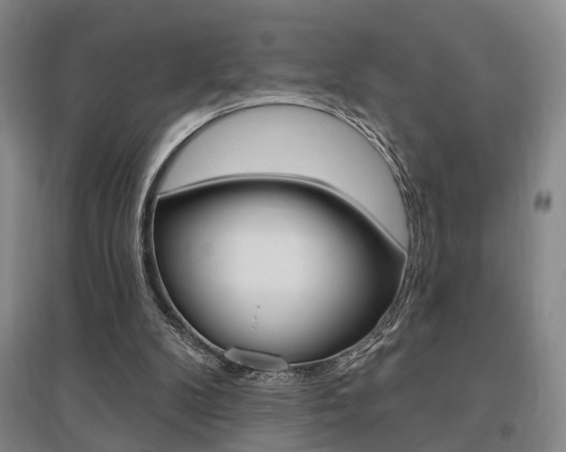 X0000095920104200801110904