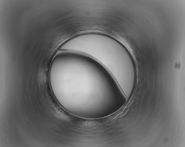 X0000095920105200801110904