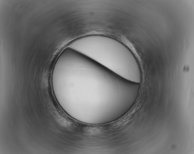 X0000095920106200801110904