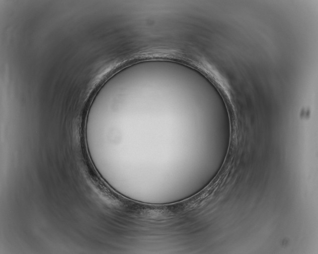 X0000095920107200801110904