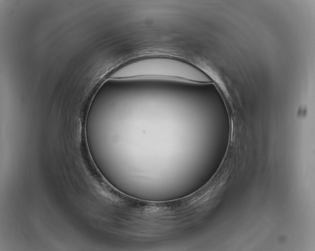 X0000095920109200801110904