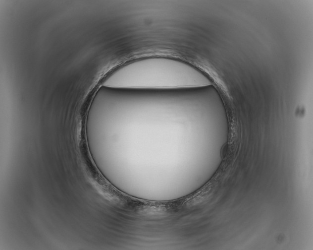 X0000095920110200801110904
