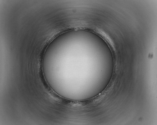 X0000095920113200801110904