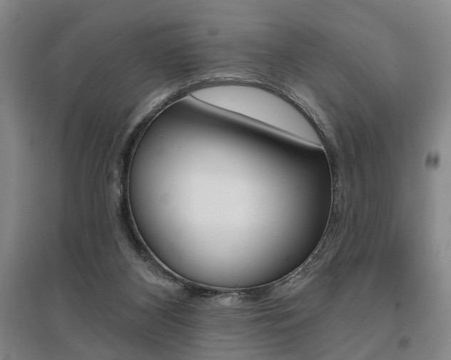 X0000095920116200801110904