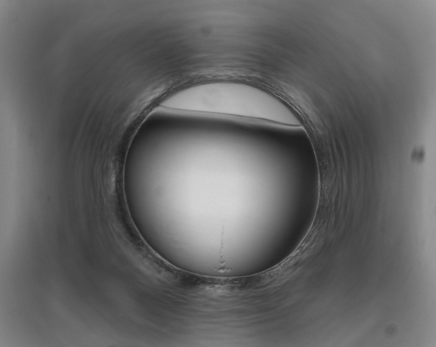 X0000095920120200801110903