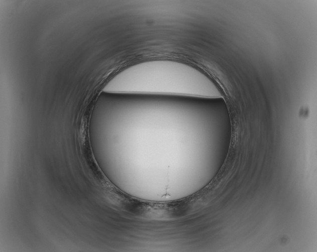 X0000095920121200801110903