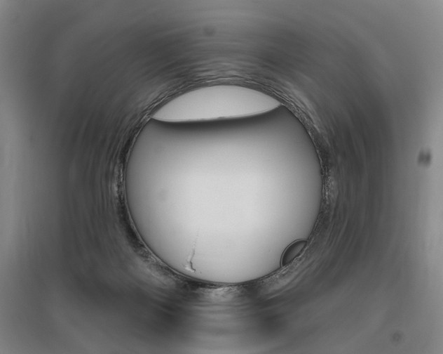 X0000095920122200801110903