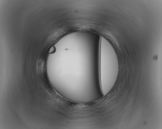 X0000095920123200801110903