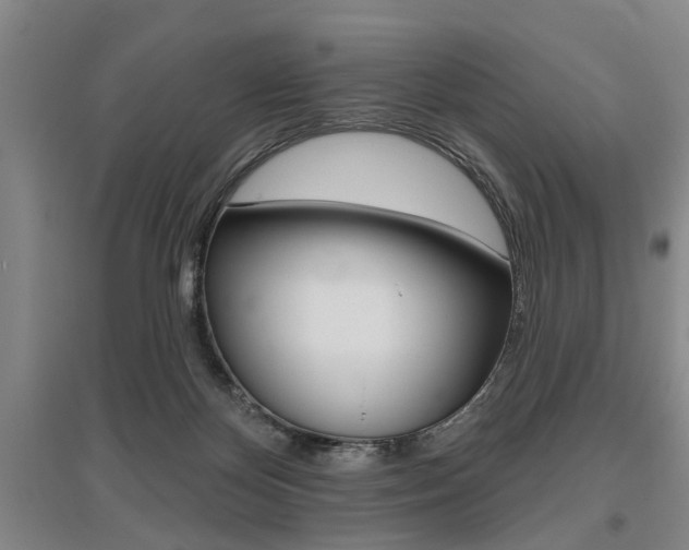X0000095920124200801110903