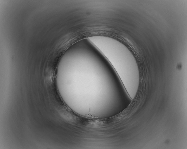 X0000095920125200801110903