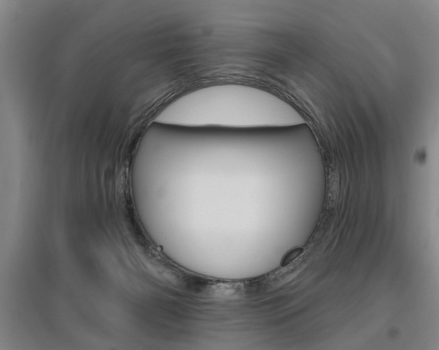 X0000095920126200801110903