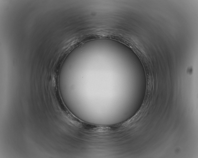 X0000095920128200801110903