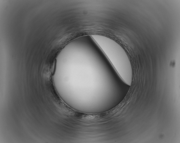 X0000095920129200801110903