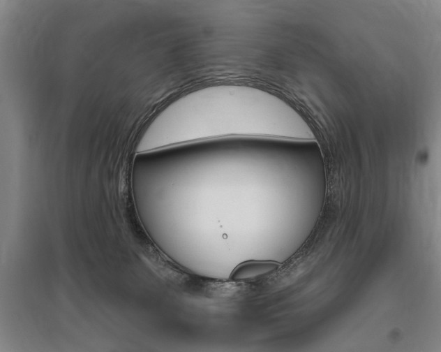 X0000095920131200801110903