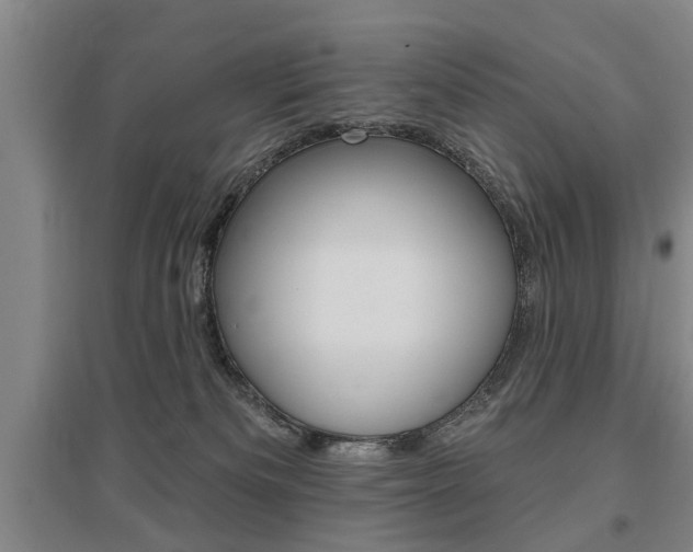 X0000095920133200801110903