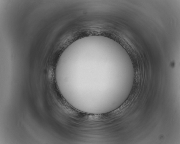 X0000095920134200801110903
