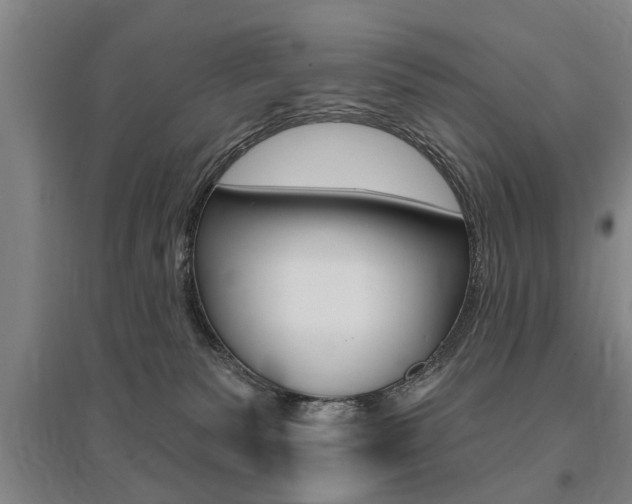 X0000095920135200801110903