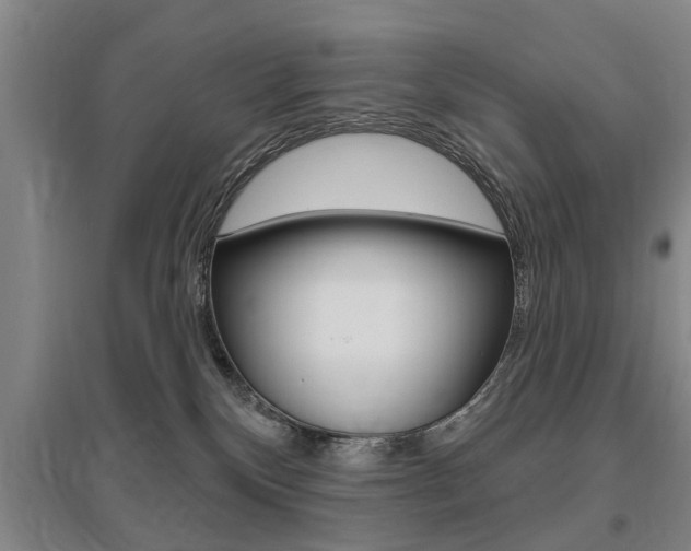 X0000095920136200801110903