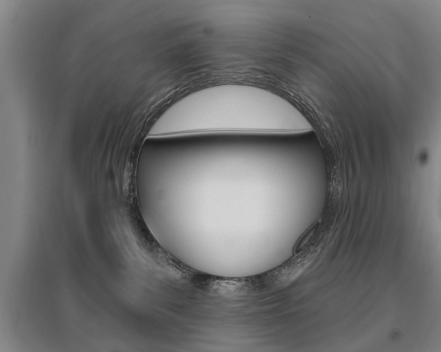 X0000095920139200801110903