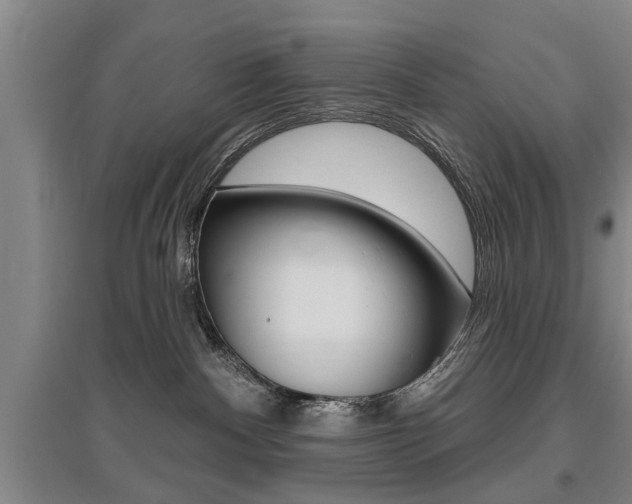 X0000095920140200801110903