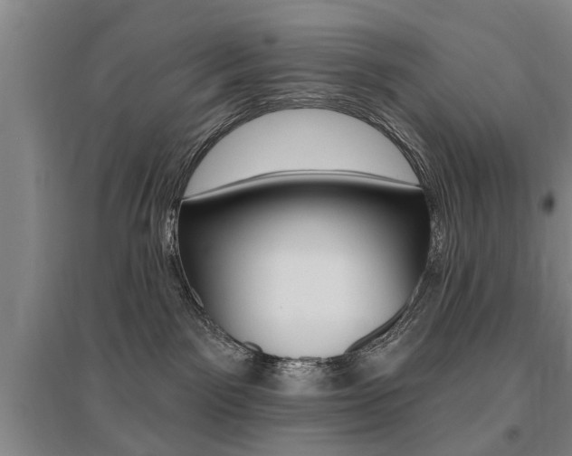 X0000095920141200801110903