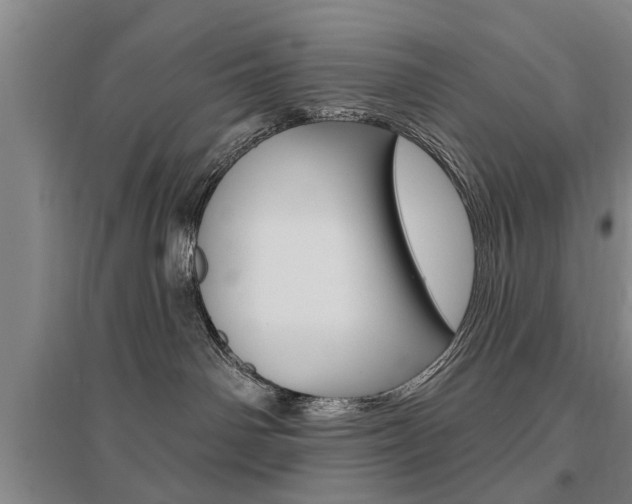 X0000095920142200801110903